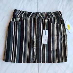 Jolt Striped Mini Skirt